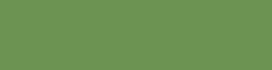 G-85 Verdigris