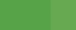 Verde acacia