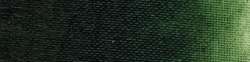 laca verde Hooker claro extra  - PR101-PY42-PG7