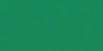 Verde Phtalo (matiz amarillento) - PG36
