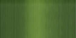 Verde vejiga - PG7 / PR101 Trans