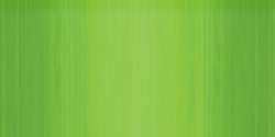 Verde cinabrio claro -  PW5 / PY1 / PG7