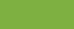 Verde clorofila