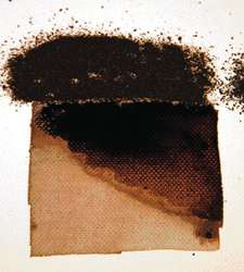 Negro