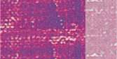Purpura cobalto