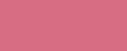 Rosa antiguo (R346)