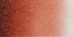 pardo rojo - PBr25