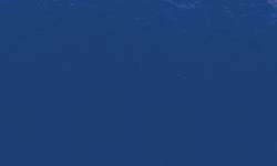 Pincel Ink Brush Sennelier, Azul primario