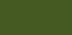 Verde Aceintuna claro - PG7,PR101,PY42