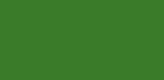 Verde de Vejiga - PBk7,PG7,PW6,PY14