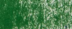 verde permanente