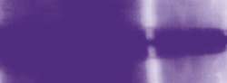 violeta