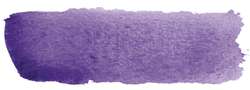 Violeta cobalto - PV62