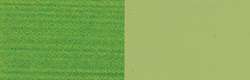 Verde Óxido de Cromo Aceituna  - PG17, PY3