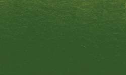 Pincel Ink Brush Sennelier, Verde oliva