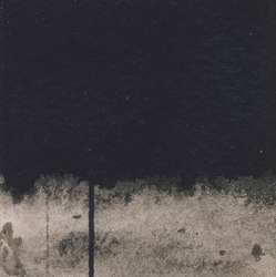 Negro marfil - PBk9