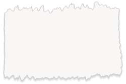 Blanco cubriente - PW6