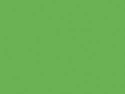Verde neón