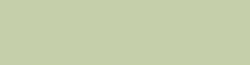 YG-61, Pale Moss