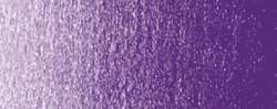 Purpura