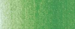 Verde permanente claro
