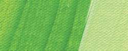 Verde mayo - PG36, PY74