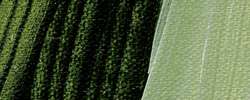 Verde vejiga - PB60, PY83