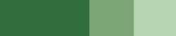 Verde óxido de cromo - PG36, PO62