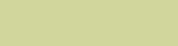 FYG-1 Fluorescent Yellow