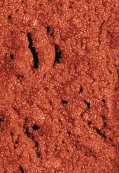 ocre rojizo PR102 - 90g