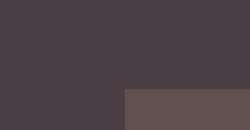 Marrón sepia - PR101