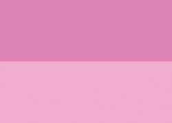 Pintura acrílica Abstract Sennelier, 27ml, Rosa quinacridona