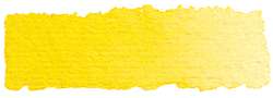 Amarillo puro - PY154