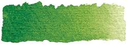 Verde vejiga - PG7, PY153
