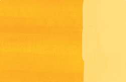 Amarillo indio - PY83