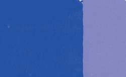 Violeta de ultramar - PV15