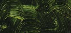 Sap Green - PB15:1, PY83