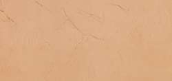 Caucasian Flesh Tone
