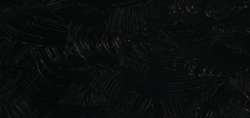 Ivory Black - PBk9
