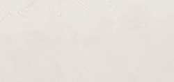 Zinc White