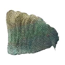 azul/verde/dorado camaleón - Coated Glass