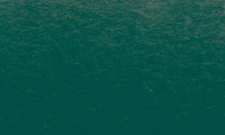 Pincel Ink Brush Sennelier, Verde abeto