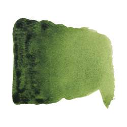 verde de vejiga - PY150/PG7