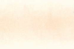 Color carne
