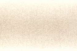 Gris fieltro