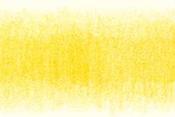 Botón de oro