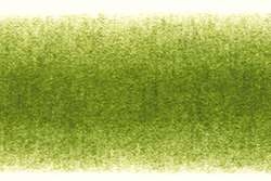 Verde musgo