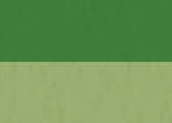 Verde permanente claro