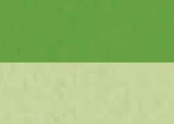 Verde amarillo