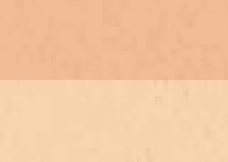 Color carne